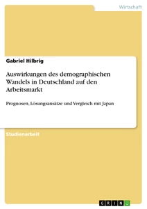 Titel: Auswirkungen des demographischen Wandels in Deutschland auf den Arbeitsmarkt