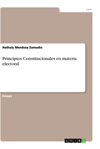 Titel: Principios Constitucionales en materia electoral