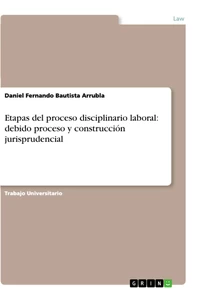 Titel: Etapas del proceso disciplinario laboral: debido proceso y construcción jurisprudencial
