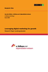 Titel: Leveraging digital marketing for growth