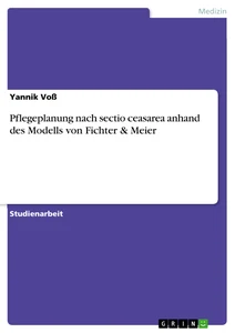 Titel: Pflegeplanung nach sectio ceasarea anhand des Modells von Fichter & Meier