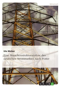Titel: Eine Branchenstrukturanalyse des deutschen Strommarktes nach Porter