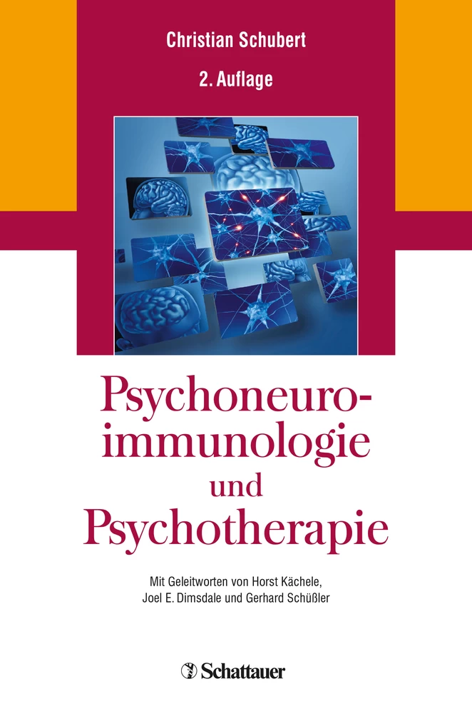 Titel: Psychoneuroimmunologie und Psychotherapie