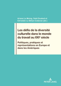 Les Defis De La Diversite Culturelle Dans Le Monde Du Travail Au Xxie Siecle Peter Lang Verlag