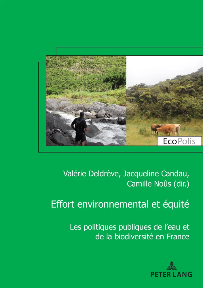 Titre: Effort environnemental et équité