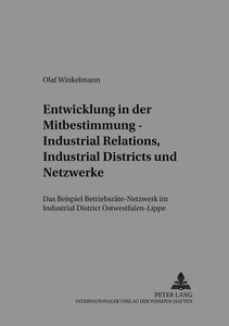 Title: Entwicklung in der Mitbestimmung – Industrial Relations, Industrial Districts und Netzwerke