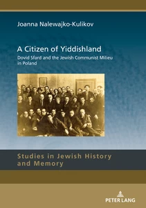 Title: A Citizen of Yiddishland