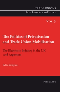 Title: The Politics of Privatisation and Trade Union Mobilisation