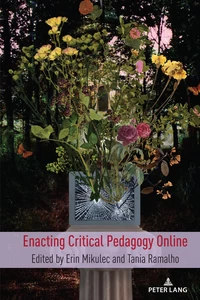 Title: Enacting Critical Pedagogy Online