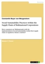 Titel: Social Sustainability Practices within the Supply Chain of Multinational Corporations
