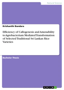 Titel: Efficiency of Callogenesis and Amenability to Agrobacterium Mediated Transformation of Selected Traditional Sri Lankan Rice Varieties