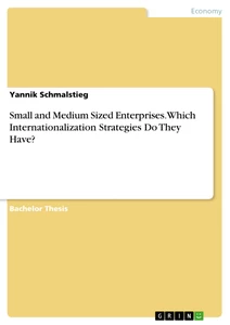 Titel: Small and Medium Sized Enterprises. Which Internationalization Strategies Do They Have?