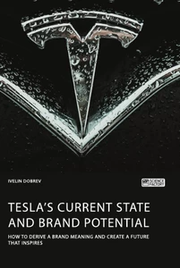 Titel: Tesla’s current state and brand potential. How to derive a brand meaning and create a future that inspires