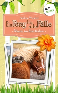 Titel: Ein Pony für alle Fälle - Zweiter Roman: Marie im Reitfieber