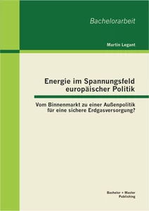 Titel: Energie im Spannungsfeld europäischer Politik: Vom Binnenmarkt zu einer Außenpolitik für eine sichere Erdgasversorgung?