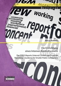 Titel: Die Einrichtung eines Internen Kontrollsystems: Der COSO-Reports (Internal Control over Financial Reporting – Guidance for Smaller Public Companies)