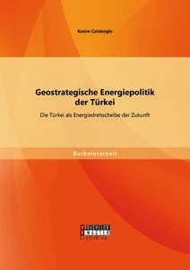 Titel: Geostrategische Energiepolitik der Türkei: Die Türkei als Energiedrehscheibe der Zukunft