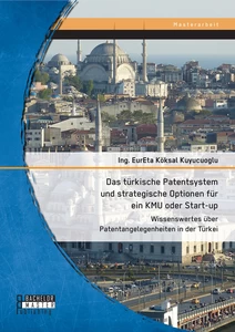 Titel: Das türkische Patentsystem und strategische Optionen für ein KMU oder Start-up: Wissenswertes über Patentangelegenheiten in der Türkei