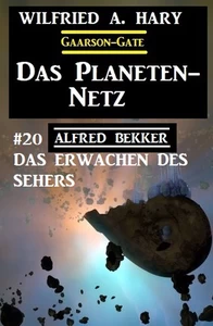 Titel: Das Planeten-Netz 20: Das Erwachen des Sehers