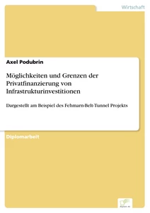 Titel: Möglichkeiten und Grenzen der Privatfinanzierung von Infrastrukturinvestitionen