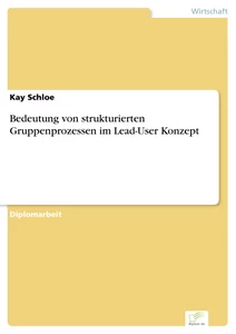 Titel: Bedeutung von strukturierten Gruppenprozessen im Lead-User Konzept