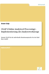 Titel: OLAP (Online Analytical Processing) - Implementierung des Analysewerkzeugs