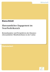 Titel: Ehrenamtliches Engagement im Non-Profit-Bereich