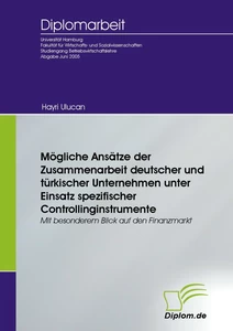Titel: Mögliche Ansätze der Zusammenarbeit deutscher und türkischer Unternehmen unter Einsatz spezifischer Controllinginstrumente