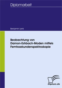 Titel: Beobachtung von Damon-Eshbach-Moden mittels Femtosekundenspektroskopie