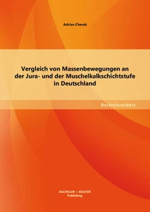 Titel: Vergleich von Massenbewegungen an der Jura- und der Muschelkalkschichtstufe in Deutschland