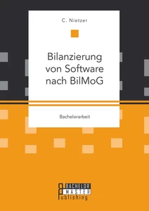 Titel: Bilanzierung von Software nach BilMoG