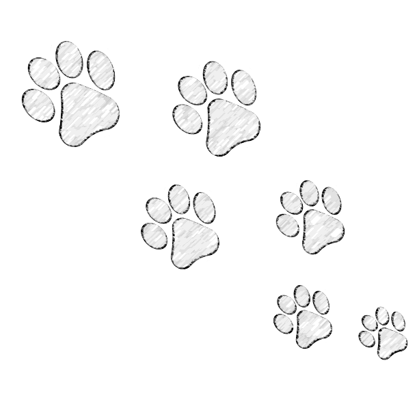 Fußabdruck Tier - Kostenloses Bild auf Pixabay