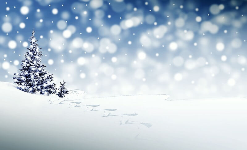 Ein Bild, das draußen, Schnee, Natur, Baum enthält. Automatisch generierte Beschreibung