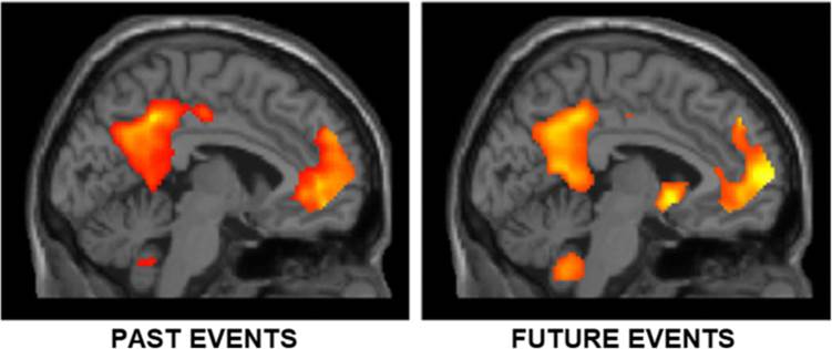 Mental Time Travel? A Neurocognitive Model of Event Simulation | SpringerLink