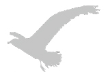 vogel