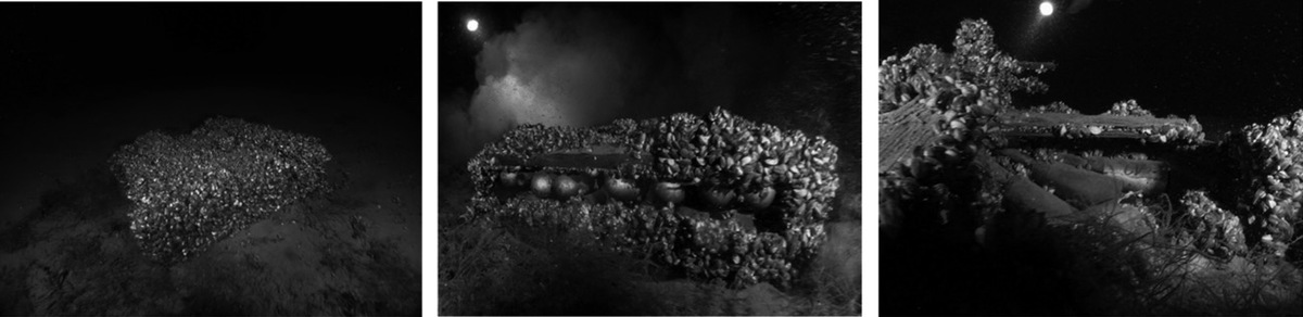 Figure 1 – Caisses de munitions dans le lac LémanSource : © Lebrun - Odysseus 3.1, 2019.