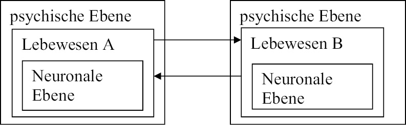 Abb. 1:Die neuronale, psychische und soziale Ebene der Kognition (nach Strohner 1995, 8)
