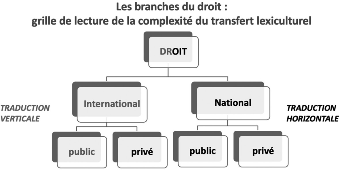 Figure 1.Les branches du droit