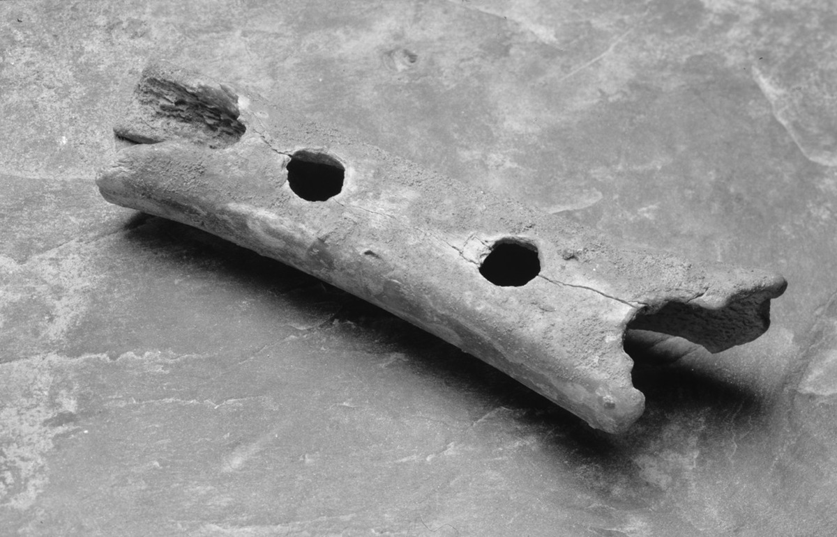 Figure 1.Neanderthal musical instrument from Divje babe I.