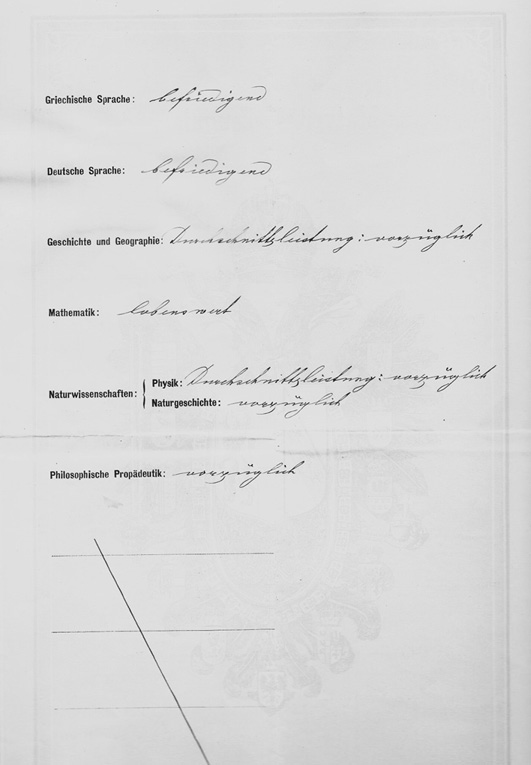 Abb. 2b:Maturazeugnis Schlussseite20