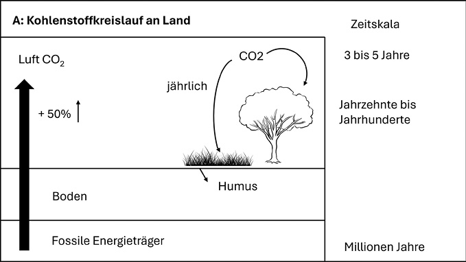 Schaubild A: Kohlenstoffkreislauf an Land