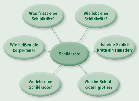 images/Mindmap_Schildkroete.jpg