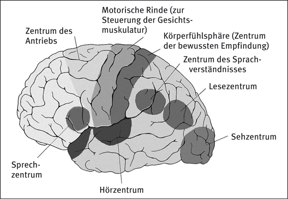 images/Laengsschnitt.jpg