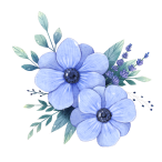 —Pngtree—watercolor blue anemone flower cluster_6312897.png