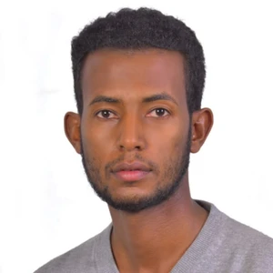 Author: Awot Haileslassie Gebrekidan