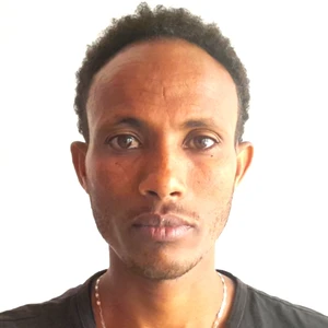 Author: Gebrehiwot Gebreslassie Zesu