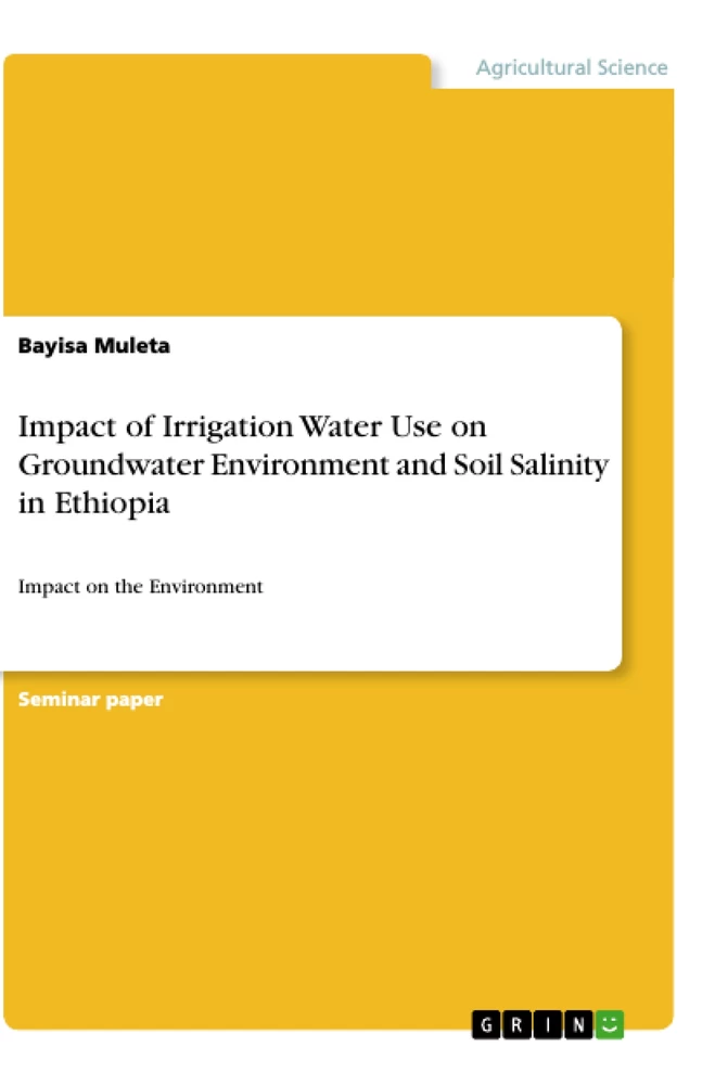 Titel: Impact of Irrigation Water Use on Groundwater Environment and Soil Salinity in Ethiopia