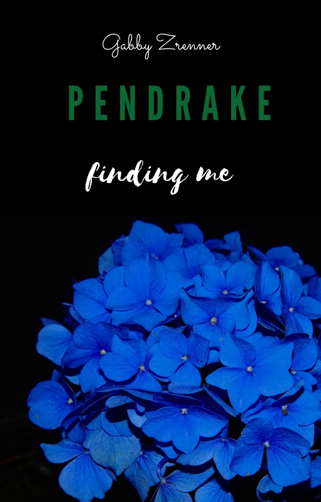 Titel: Pendrake 1- Finding me