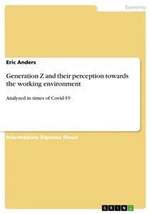 Titel: Generation Z and their perception towards the working environment