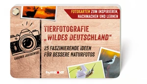 Titel: Tierfotografie „Wildes Deutschland“